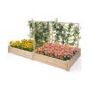 Outdoor Garden Bed Planter Box Set with Climbing Trellis