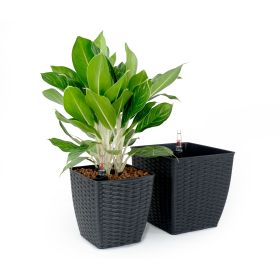 2-pack Self-Watering Planter Hand Woven Square in Expresso