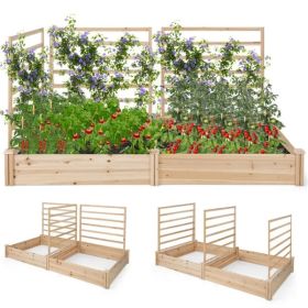 Outdoor Garden Bed Planter Box Set with Climbing Trellis