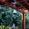 Japanese Cast Iron Hummingbird Wind Chimes – Metal Hanging Ornament for Room, Balcony, Door, or Garden