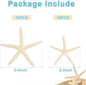 20 PCS 2-4 Inch 4-6 Inch Bulk Natural Real Starfish For DIY Crafts Wedding Beach Christmas Tree Ornaments (Option: 2to4 inch)