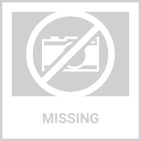 2Pcs Foldable Rat Trap Cage Humane Live Rodent Trap Cage Galvanized Iron Mice Mouse Control Bait Catch With Detachable L Shaped Rod For Kitchen G (Color: Silver)